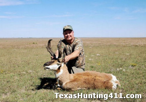Pronghorn Hunting in Texas - More Permits for Texas Landowners