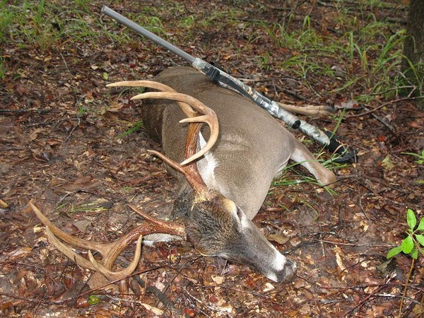 East Texas Hunting Tough for Deer