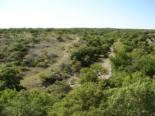 Wildlife Habitat Incentives Program for Management