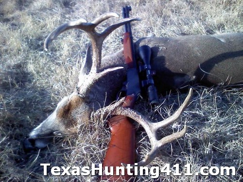 Texas Deer Harvest Down, Buck Quality Up