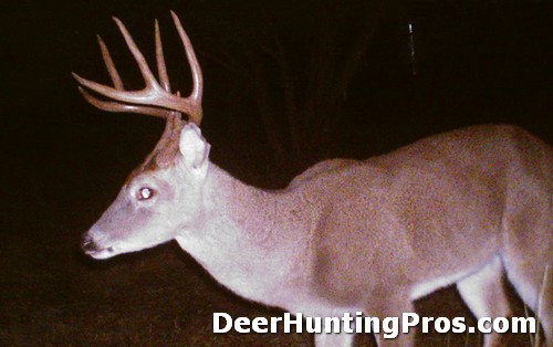 Deer Hunting in Coke County, Texas