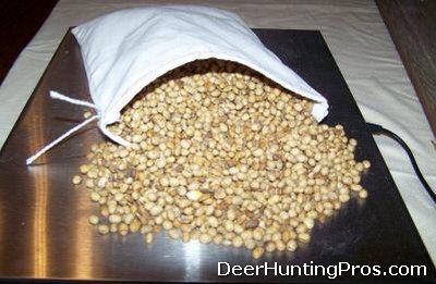 Feeding Soybeans for Supplemental Protein to Whitetail Deer