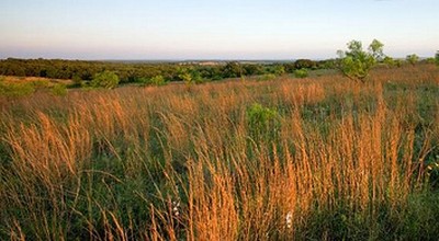 Lone Star Land Stewards Award Program