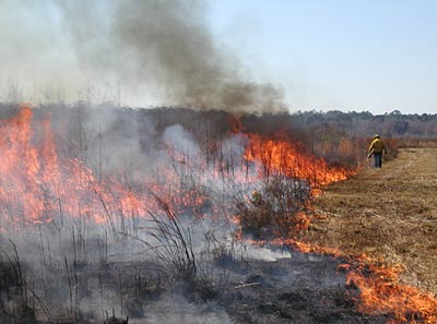 Prescribed Burning Class Workshop for Habitat and Hunting