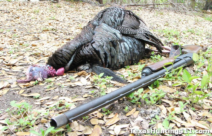 Texas Turkey Hunting Season Opens Slow, Heats Up