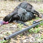 Texas Spring Turkey Hunting Season