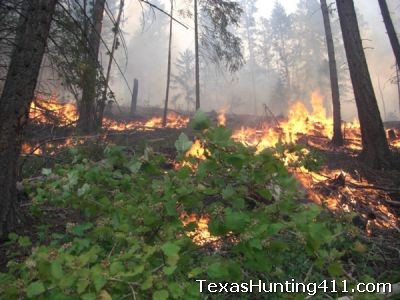 Pineywoods Prescribed Fire Cooperative - East Texas Burning Association