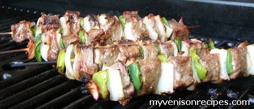 Venison Kabobs Recipe