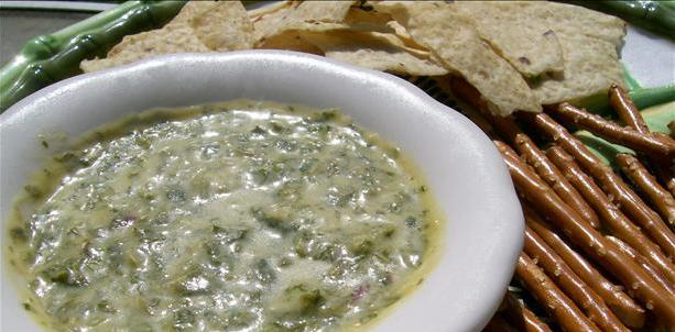 Jalepeno Cilantro Dip Recipe - Venison Recipes