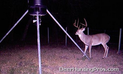 Cass County Deer Hunting - Deer Lease in Cass County