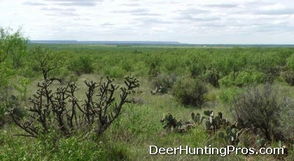 Deer Hunting in Kent County Texas