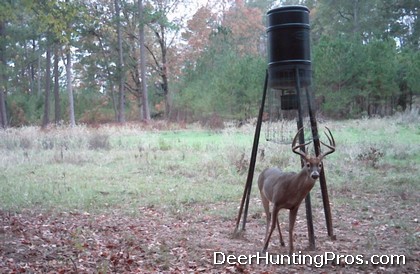 Deer Hunting in Limestone County Texas