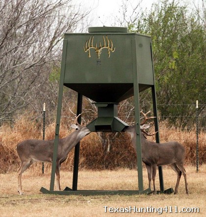 Grow Bigger Bucks - Supplemental Feeding of Deer in Texas
