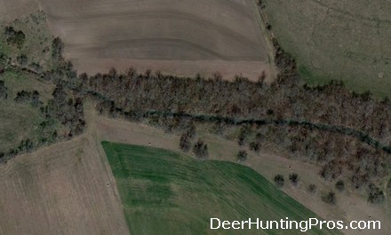 Deer Hunting Tips - Best Places to Hunt are Corridors and Funnels