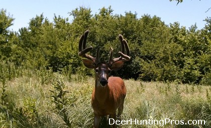 Deer Management to Improve Deer Hunting
