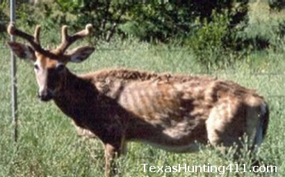 CWD in Deer in Texas