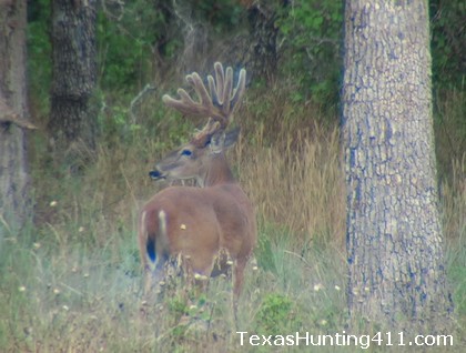 Federal Lands in Texas - More Public Hunting Lands in Texas Possible