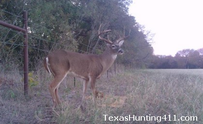 Hunting in Texas