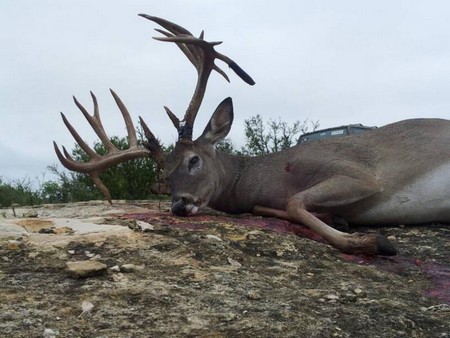 Texas Bowhunter Bags Trophy in Medina County