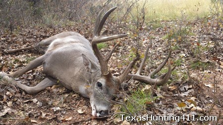 Deer Hunting in Texas