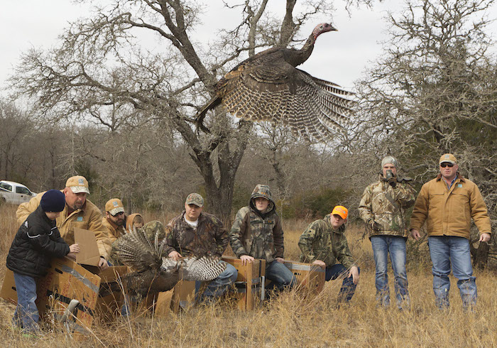 Turkey Stocking in Texas