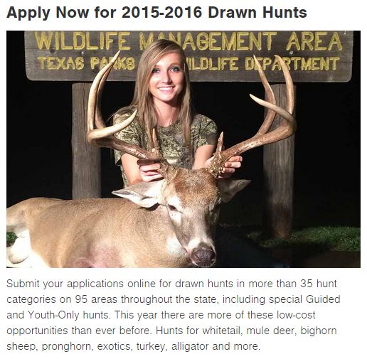 Texas Draw Hunts: Time to Apply!