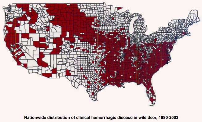 EHD in White-tailed Deer: Where does it occur?