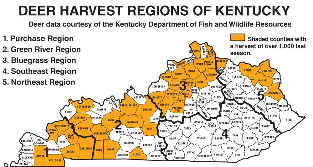 2024 Hunting Season Dates Kentucky Deer Fawne Wandis