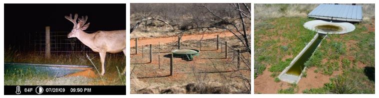 Water Troughs for Wildlfie