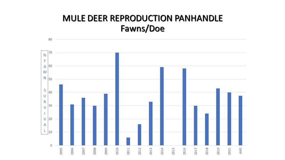 Texas Mule Deer Trends based on Deer Survey Data